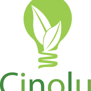 Cinolu